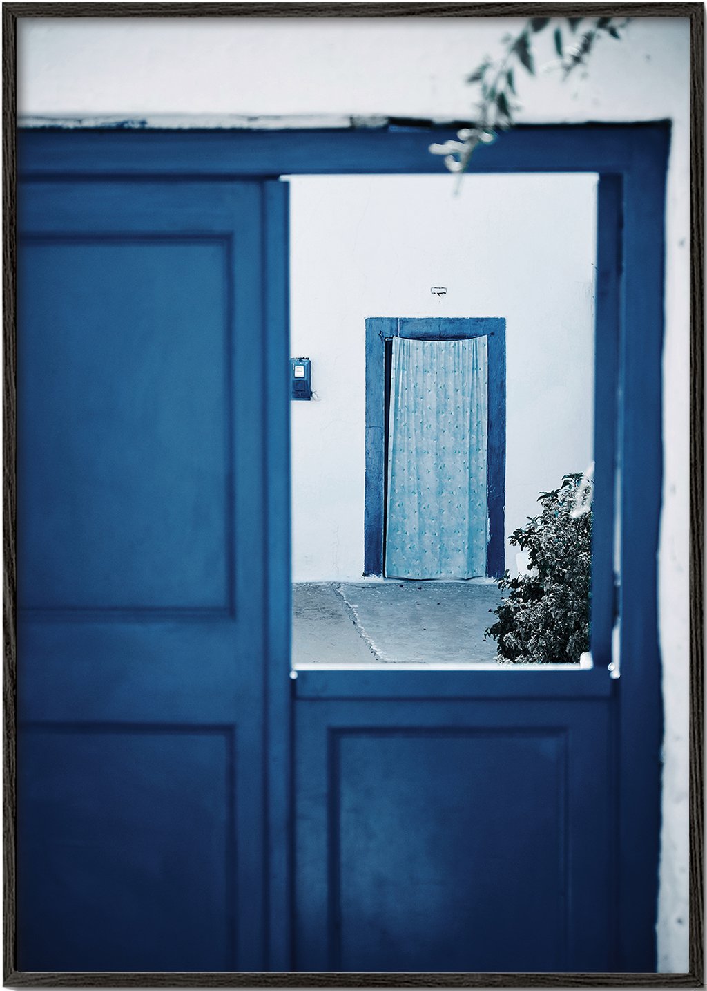 Indigo door