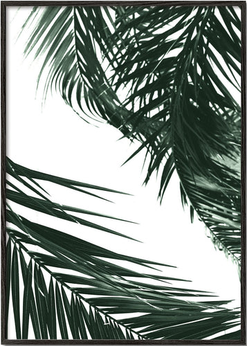 Palm tree crossing