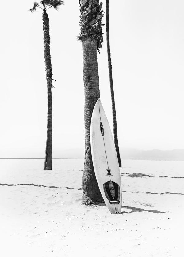 Surfboard BW