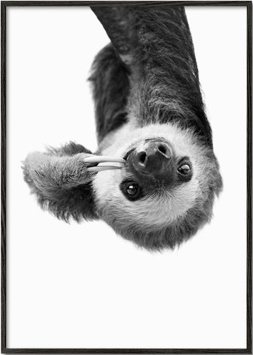 Sloth BW