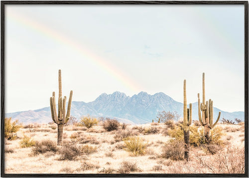 Arizona Rainbow