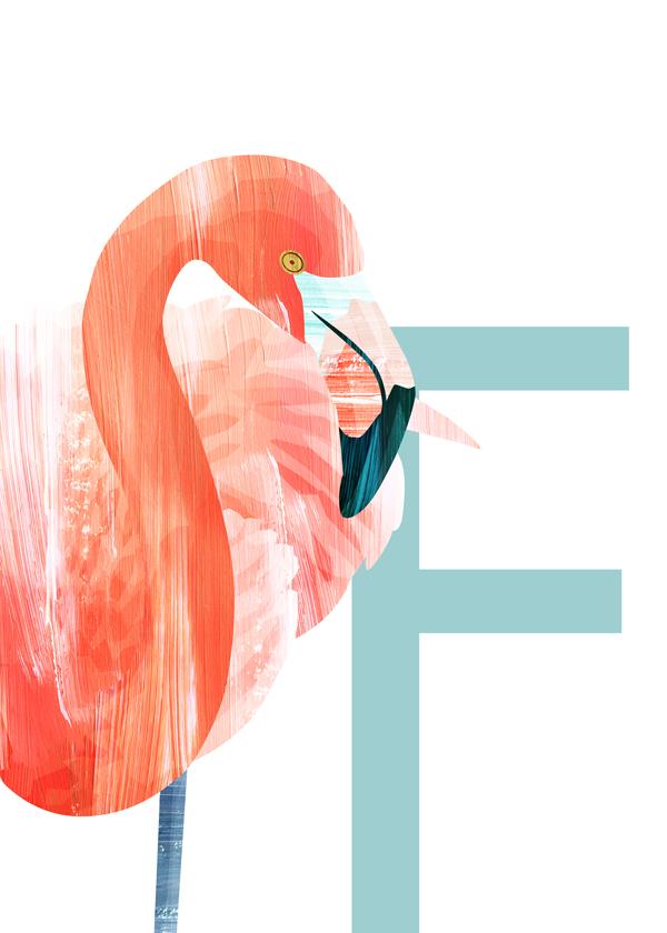 Flamingo feelings