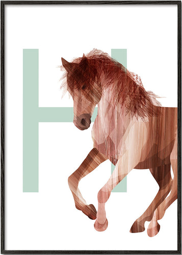 H-Horse