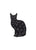 Geometric Cat Black