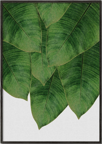 Banana Leaf III
