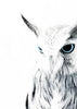 Owl II 2