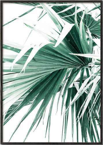 Palm Leaves II