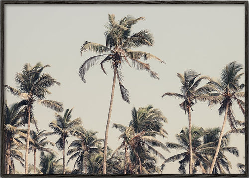 Palm Trees on the beach