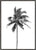 Palm tree by the beach