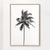 Palm tree by the beach