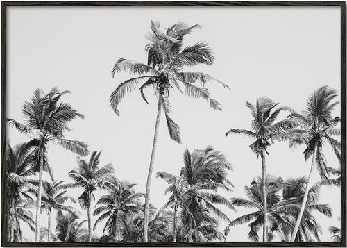 Palm Trees on the beach II