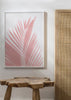 Pink palm leaves on white