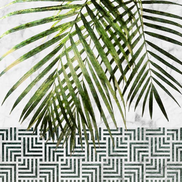 Palm leaves on white marble and tiles