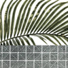 Palm leaves on green marble tiles