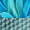 Agave plant on hex tiles