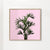 Palm plant on pastel pink wall