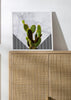 Cactus on white marble and zigzag tiles
