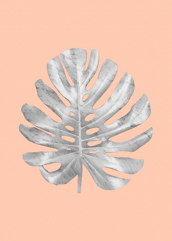 White marble monstera on peach wall