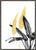 Bird of Paradise Plant Black, White and Gold 01