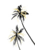 Palm Tree Black, White and Gold 02