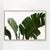 Travellers Palm Leaves 06