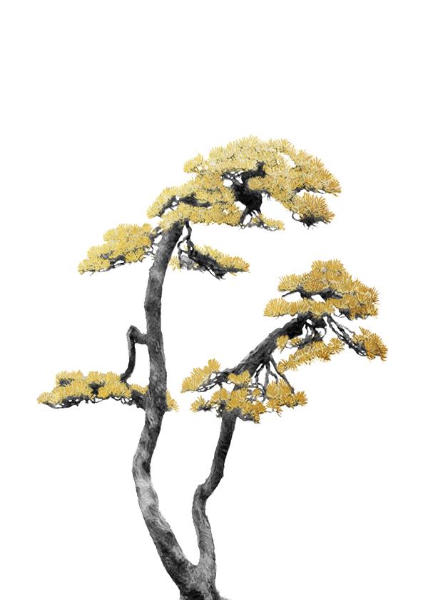 Bonsai Tree 06