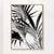 Palm Leaves Black and White 02