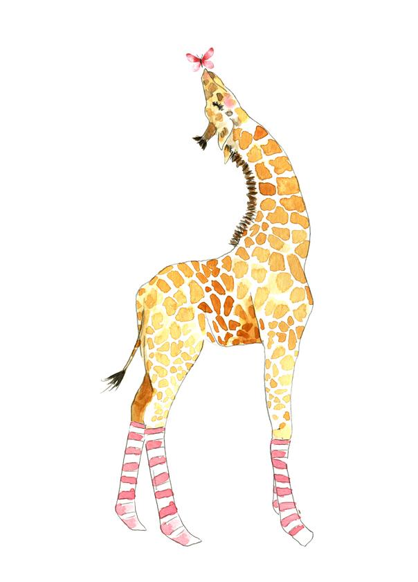 Giraffe with butterfly