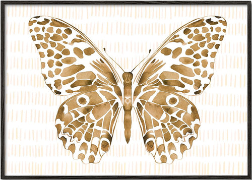 Sienna butterfly