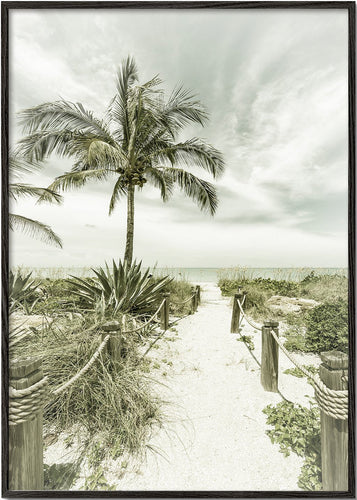 Path to the beach | Vintage
