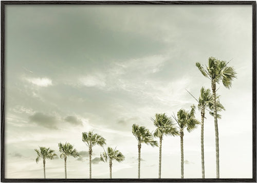 Vintage Coastal Palm Trees