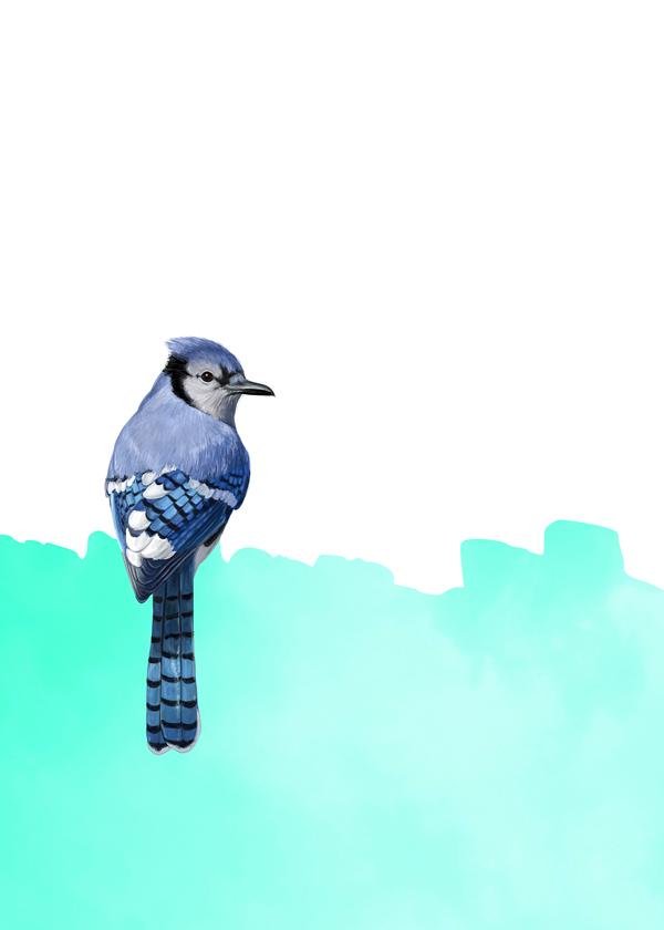 Bird On Blue