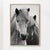 Horses - Black & White 7