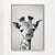 Baby Giraffe - Black & White