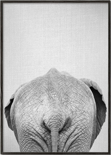Elephant Tail - Black & White