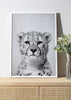 Cheetah - Black & White