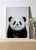 Baby Panda Bear - Black & White