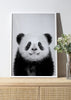 Baby Panda Bear - Black & White