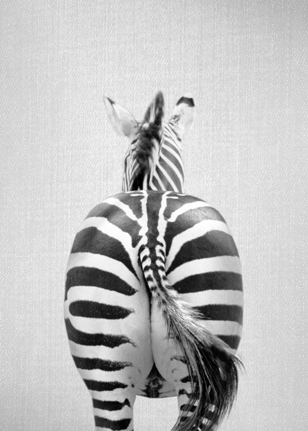 Zebra Tail - Black & White