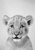 Baby Lion - Black & White