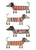 Sausage Dogs in Sweaters