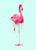 Melting Flamingo