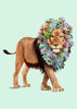 Succulent Lion