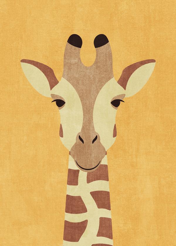 FAUNA / Giraffe