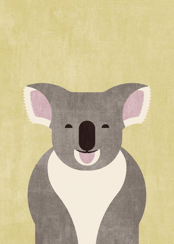 FAUNA / Koala Bear