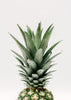 Pineapple Top Print