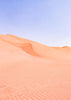 Sahara Desert Sand Dunes I