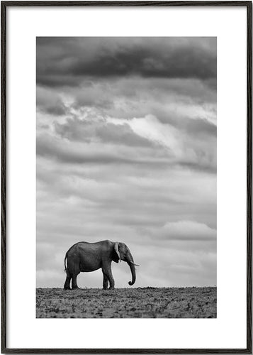 Elephant Landscape 2 - Mario Moreno