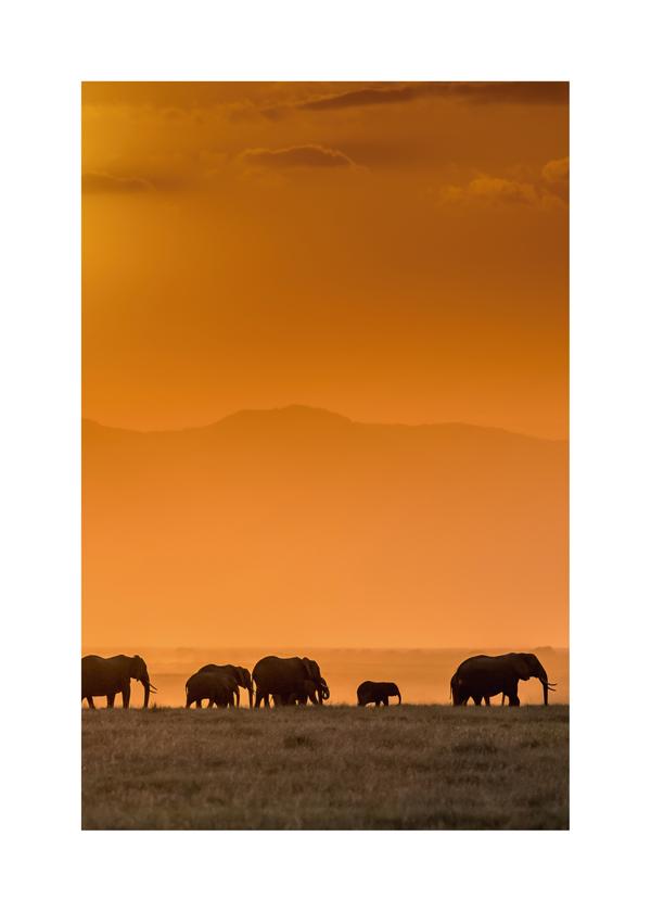 Sunrise over Amboseli - Jeffrey C. Sink