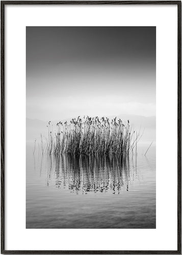 Black and White Silence - George Digalakis